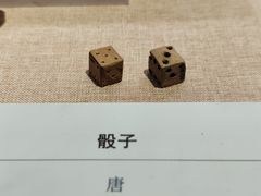 -中华世纪坛