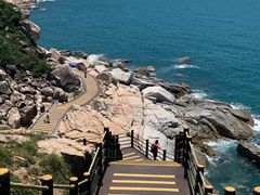 -广东惠东海龟国家级自然保护区
