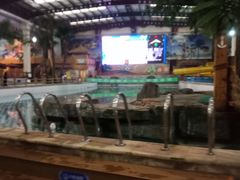 -南宫温泉水世界