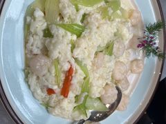 -丁老爷子苏香圆