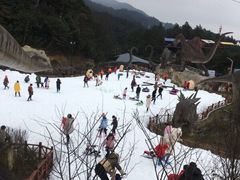 -梦幻奥陶纪景区