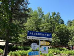 -汤旺河林海奇石景区