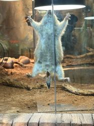 -Zoolung Zoolung动物主题公园(海信广场店)