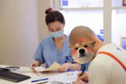 -大麦微针植发丨全国连锁