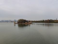 -长广溪湿地公园