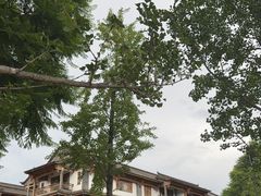 -云南民族村