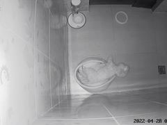 -宠物之家Pets Home 宠物寄养酒店