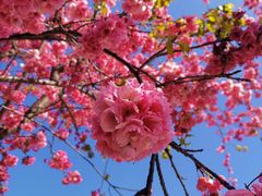-阿鹏故事云南野生菌火锅(人民路店)