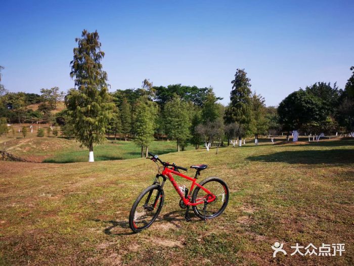 松山湖南湖湾露营营地图片