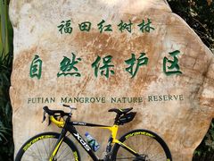 -深圳湾公园(南山区)