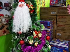 -缤纷鸟美术书法(建大校区)