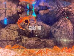 -珠海长隆海洋王国