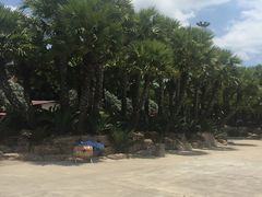 -东芭乐园
