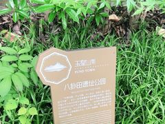 -八卦田遗址公园
