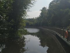 -大屏嶂森林公园