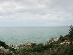 -广东惠东海龟国家级自然保护区