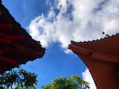 -石岛赤山风景区