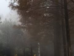 -泽雅景区