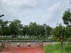 -天津东丽湖风景区