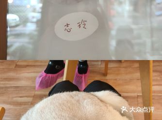 时隔多日，我终究是对那只名叫志玲的猫咪念念不忘