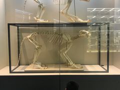 -广东中医药博物馆