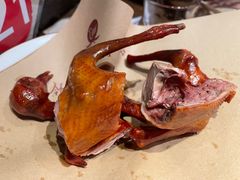 -鸽子窝(青塔店)
