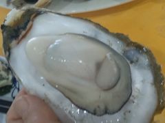 -蚝专家(北滘店)