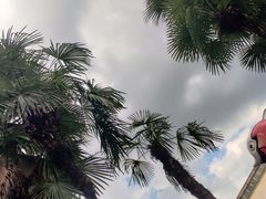 -重庆海昌加勒比海水世界