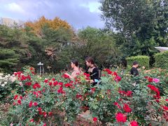 -人民公园(罗湖区)