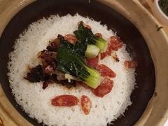 -旺小胖小龙虾