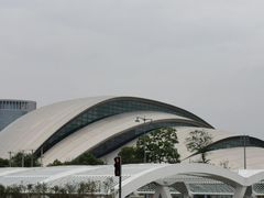 -合肥大剧院
