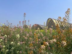 -中国天府农业博览园