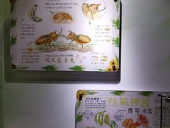-上海昆虫博物馆