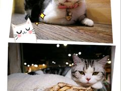 -小时光咖啡馆(开森度假森林店)