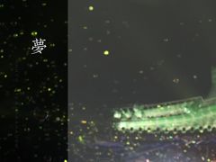 -寻梦滕王阁实景演出