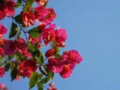 -维乐口腔医院(星海湾分院)
