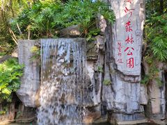 -广州市流溪河国家森林公园