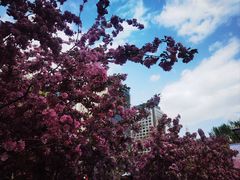 -元大都城垣遗址公园