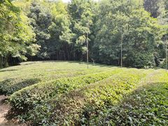 -敬亭山风景名胜区