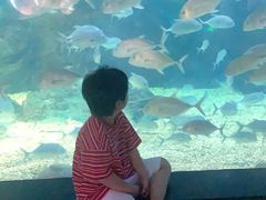 -烟台海昌鲸鲨海洋公园