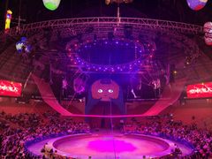 -俄罗斯国家大马戏团