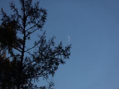 -五营红松林海景区