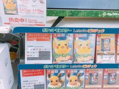 -Bic Camera (难波店)