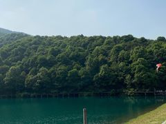 -午潮山国家森林公园