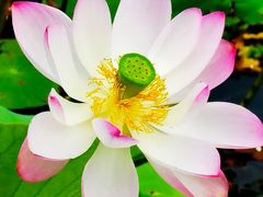 -朝阳公园