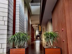 -瑰丽酒店·海吧·天际下午茶·现场DJ·天台酒吧