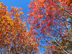 -湖洞水自然风景区