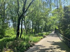 -西湖风景区-江洋畈生态公园