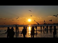 -老虎石海上公园