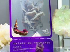 -南京维景国际大酒店(南京博物院店)